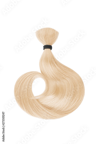 Blond hair isolated on white background. Long wavy ponytail © MAKOVSKY ART