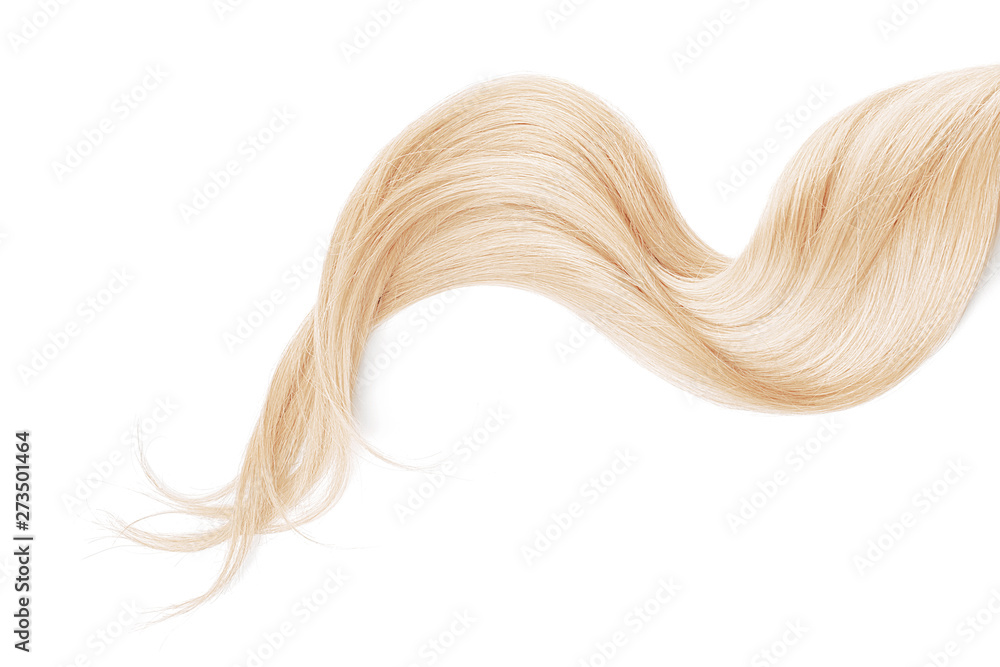 Blond hair isolated on white background. Long wavy ponytail