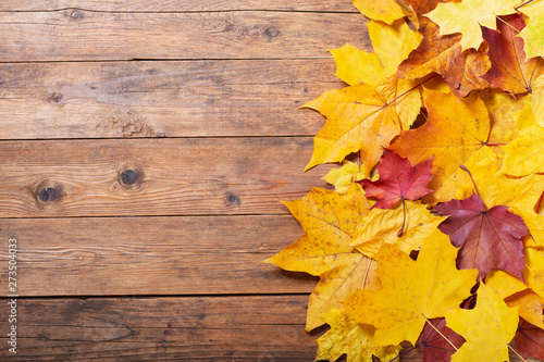 Autumn background. Colorful autumn leaves on wooden background. Top view