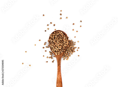 Coriander seeds on wooden spoon isolated on a white background. Top view