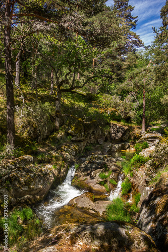 Stream in the forest. Lozoya river. Hiker route in the  Sierra de Guadarrama  National Park  Madrid  Spain.