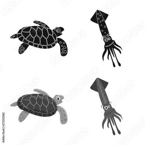 Isolated object of sea and animal sign. Collection of sea and marine stock vector illustration.