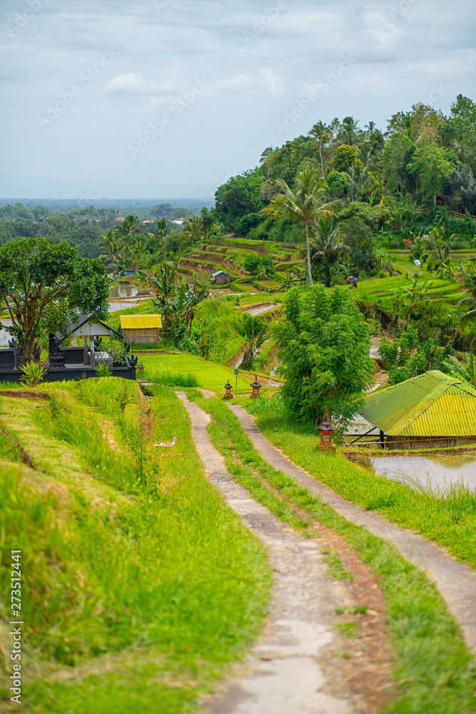 Country road on the way to the rice terraces. Bali Indonesia