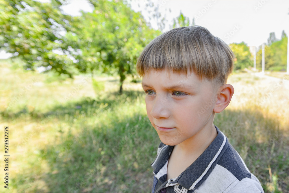 Portrait of a boy in nature on a wide-angle lens, pensive and serious child close-up. Portrait of a boy in nature on a wide-angle lens, pensive and serious child close-up.