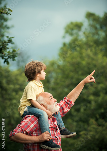 Slika na platnu Happy grandfather and grandson on meadow in summer