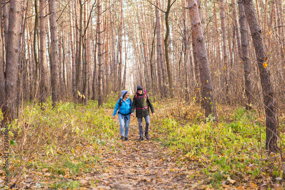 People, hike, tourism and nature concept - Couple tourist hiking in autumn forest People, hike, tourism and nature concept - Couple tourist hiking in autumn forest