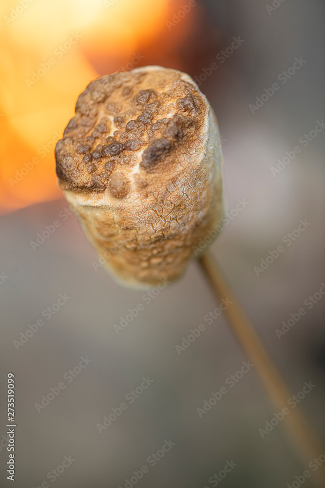 A marshmallow perfectly roasted by a campfire. A marshmallow perfectly roasted by a campfire.