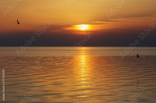 beautiful summer sunset on lake