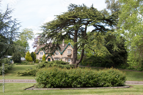 House in the woods