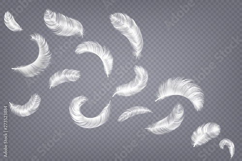 Realistic feathers. Fluffy white goose and swan different falling fluffy twirled feather, weightless plume isolated vector set on transparent background