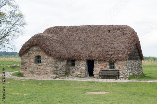 Thatched roof hut