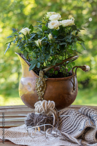 Brightly blossoming white roses in a metal cachepot - an ashpit on a wooden table in a summer garden.