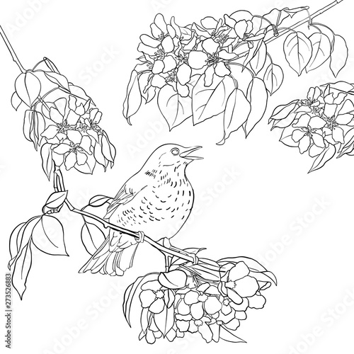 bird at tree branch