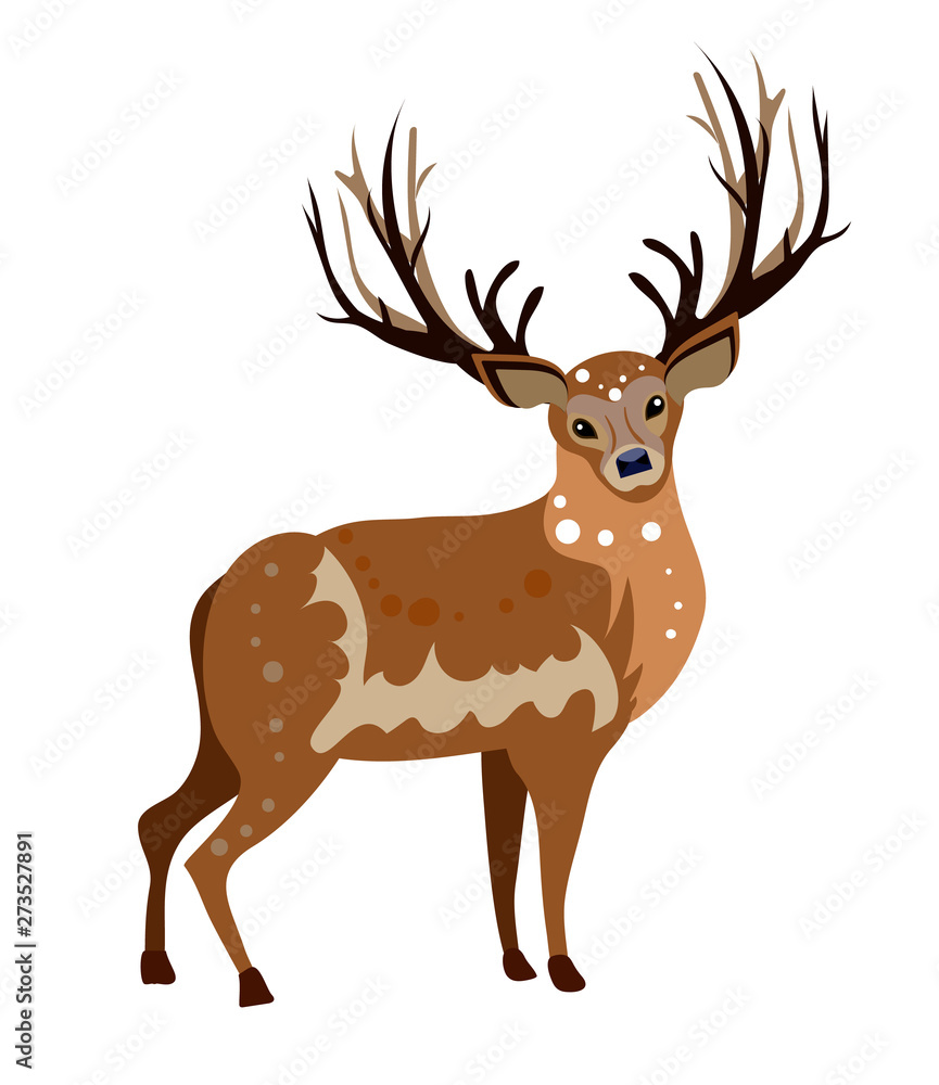 Isolated vector red deer on white background.  Flat style cartoon image. Noble deer with big horns. Animal art for fauna cards.