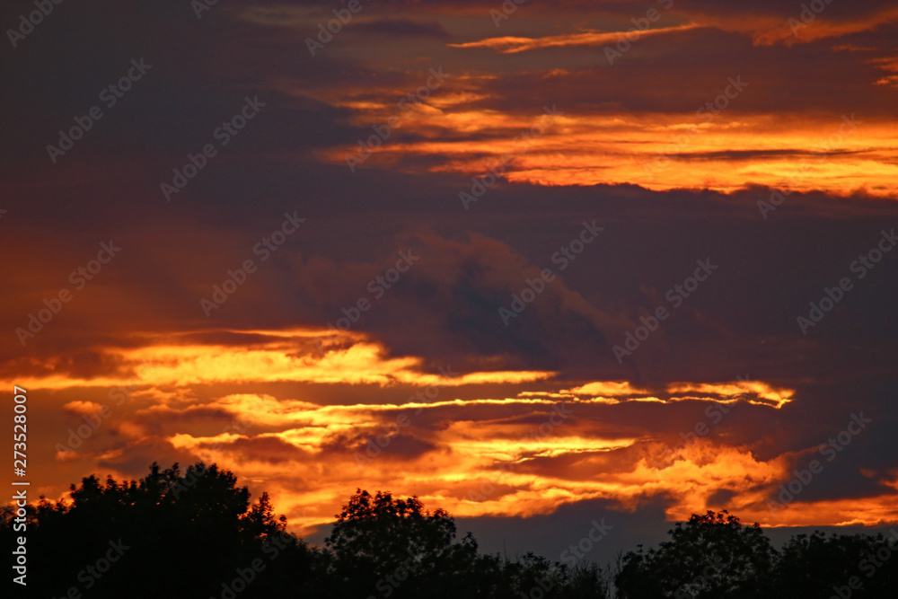 Sunset over trees in France