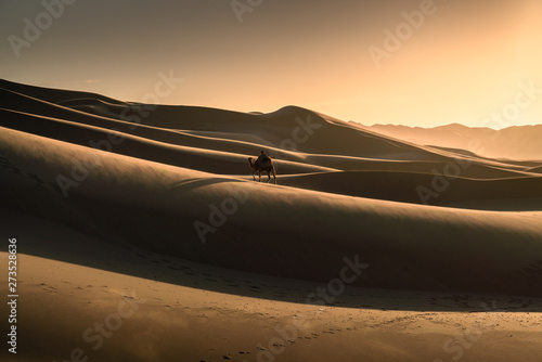 gobi desert , Mongolia