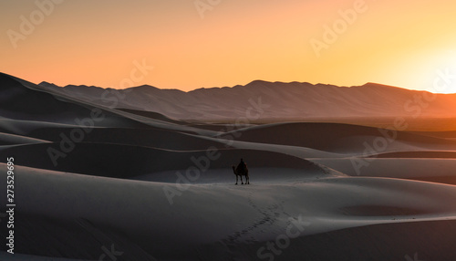 Gobi desert , Mongolia 