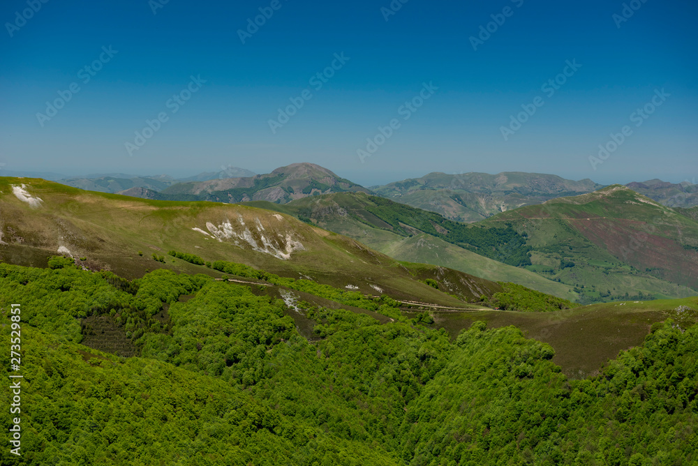 Fototapeta premium Roncesvalles pass, Camino navarro (Navarrese road) on the Pyrenees, Navarra, Spain