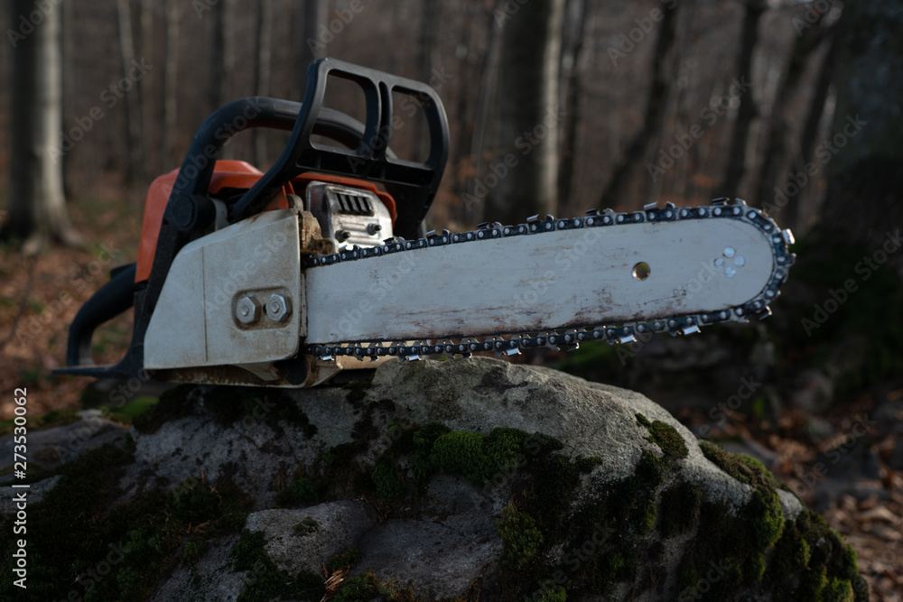 Forest and photo of professional hainsaw. Concept of lumberman work.