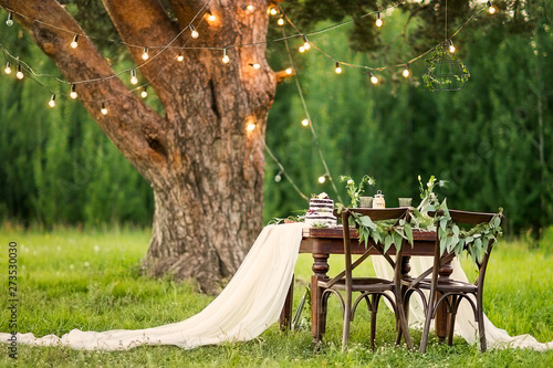 Photography Wedding banquet in the field at the pine tree