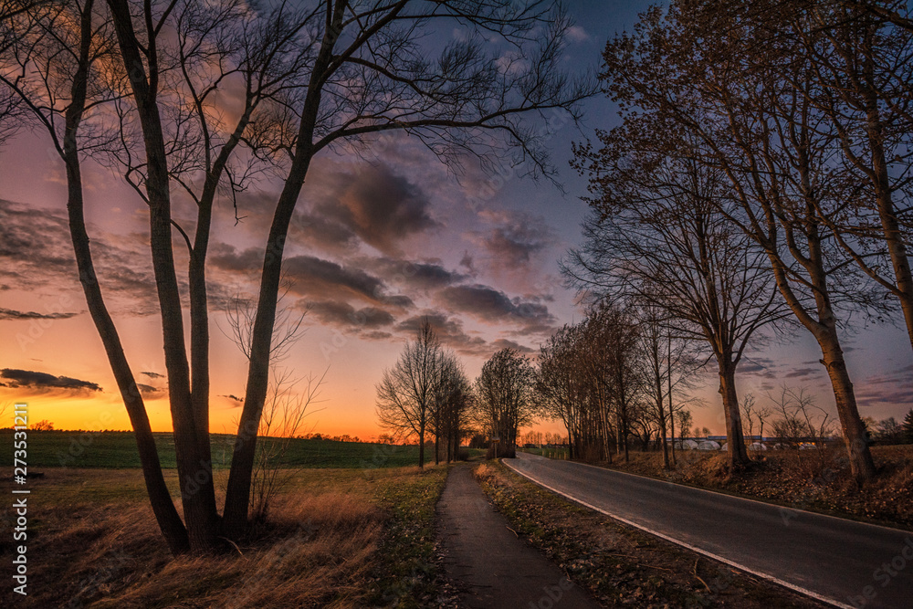 Fototapeta premium Sunset