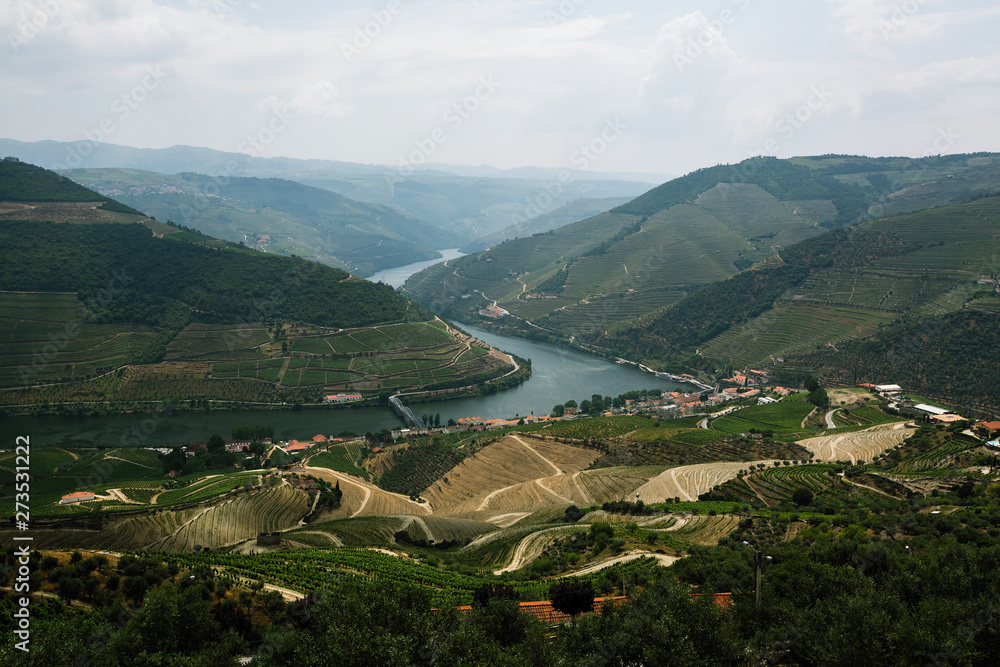 View of Douro valley and vineyards in the hills, Porto, Portugal.