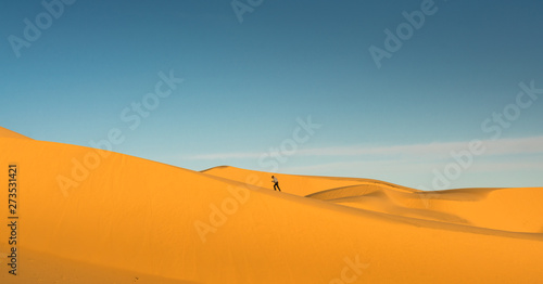 Gobi desert , Mongolia 
