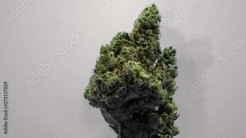 Wallpaper Mural Cannabis Torontodigital.ca