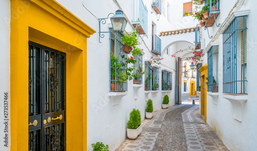 Scenic sight in the picturesque Cordoba jewish quarter. Andalusia, Spain. photo