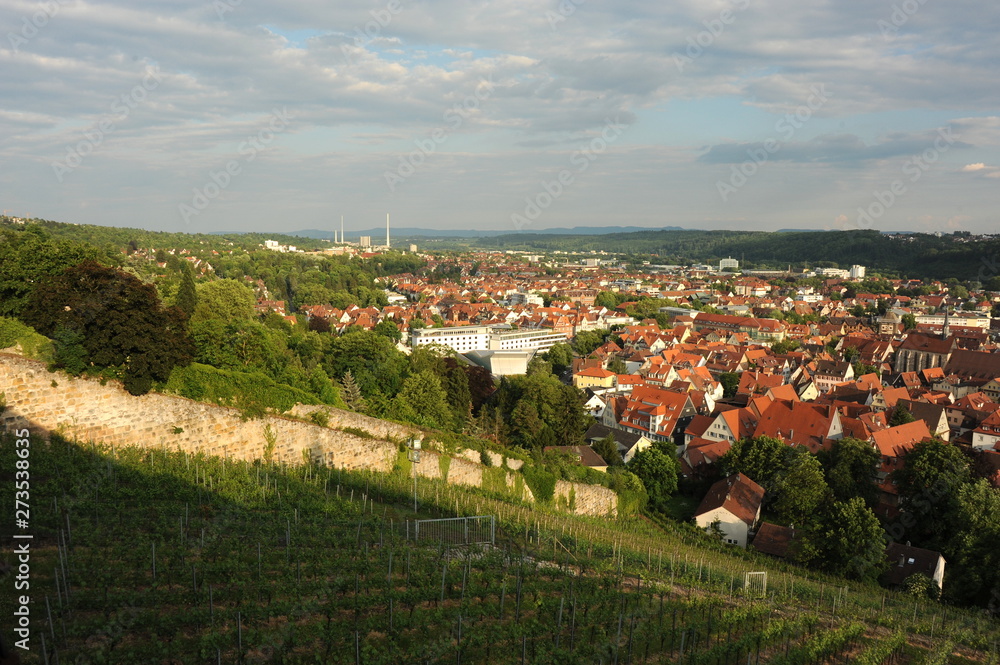 Blick auf Esslingen auf dem Weg zur Burg