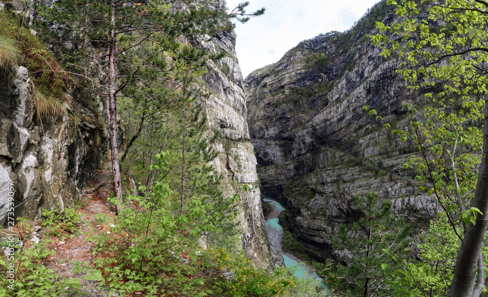 the canyon in area of Villanova. Belluno.