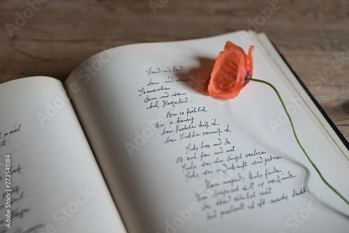Fotografia Gedicht, Blumen, Stillleben