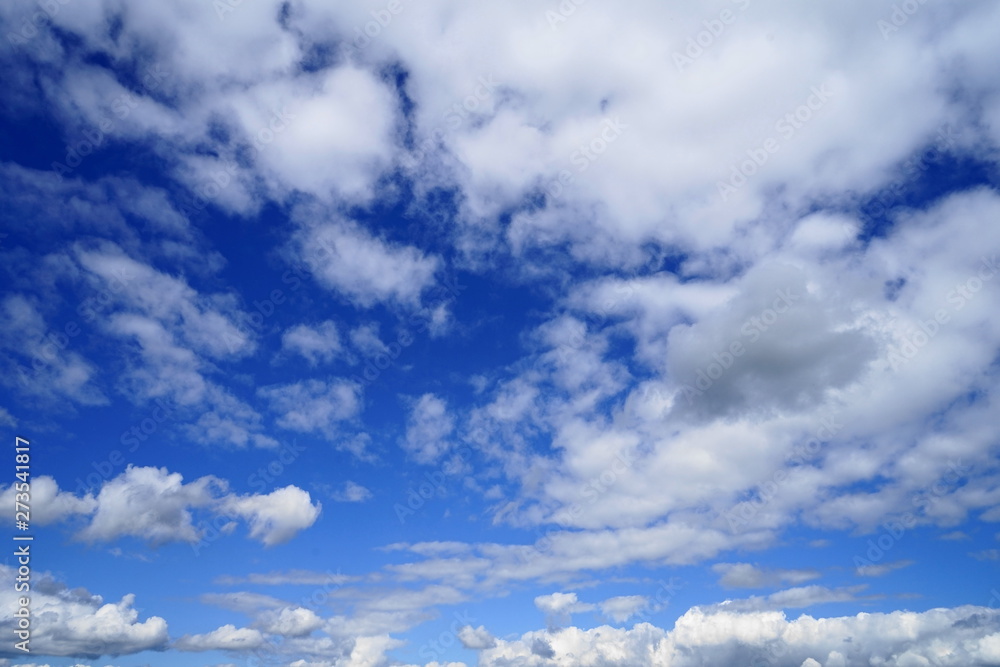 Fototapeta premium Clouds in the sky
