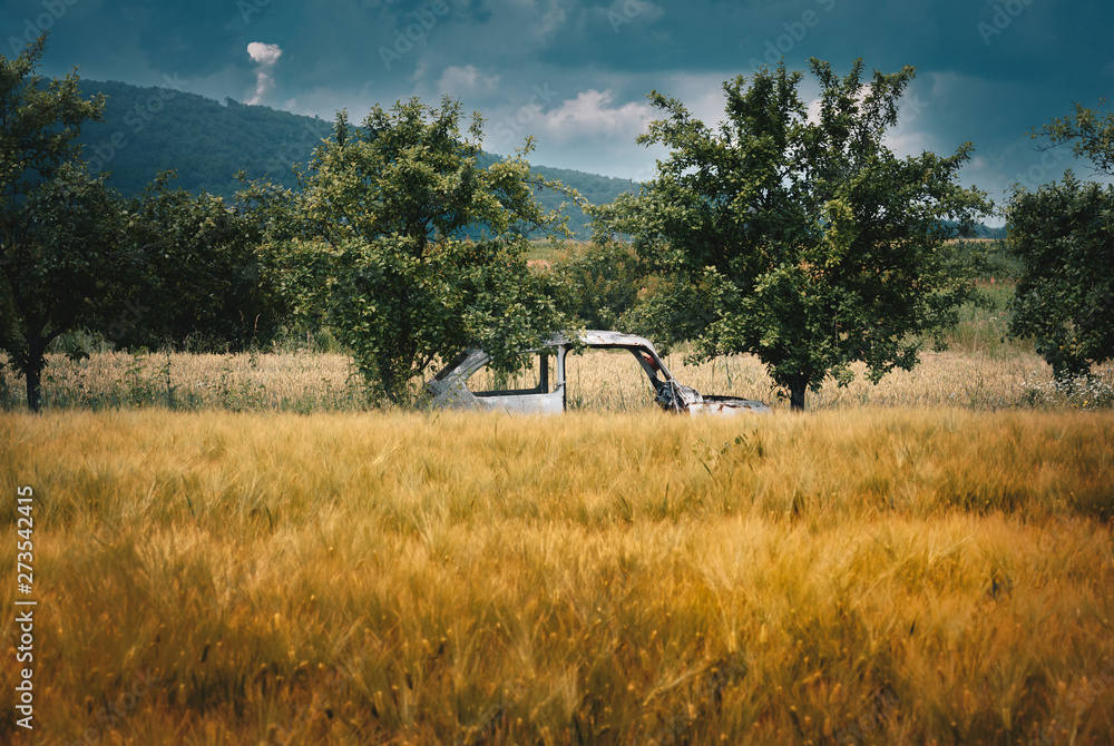 Fototapeta premium A car chassis that serves to conceal workers in the field in case of rain.