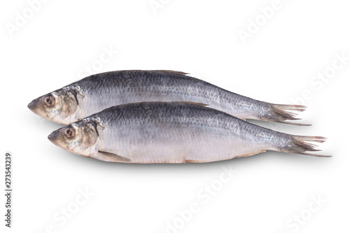 herring fish on white background isolated.