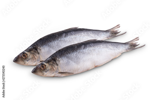 herring fish on white background