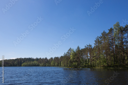 Lake and forest in Finland