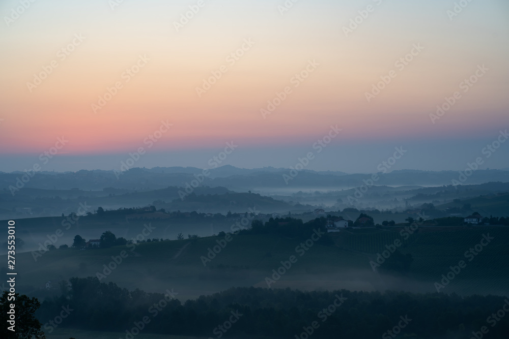 Panorama of Tuscan piedmont vineyard covered in fog at the dawn sunrise