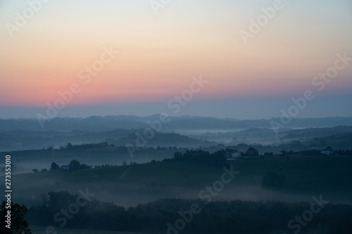 Panorama of Tuscan piedmont vineyard covered in fog at the dawn sunrise