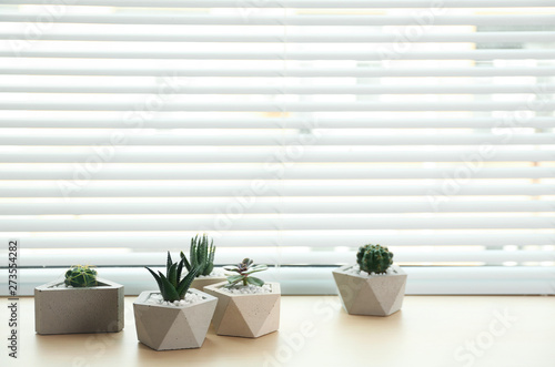 Window with blinds and potted plants on sill, space for text
