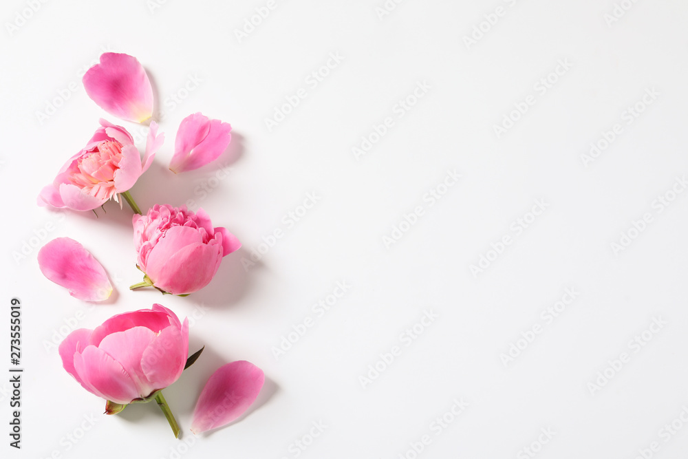 Beautiful peony flowers on white background, top view Beautiful peony flowers on white background, top view