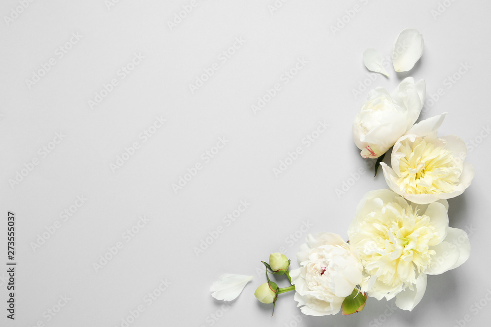 Beautiful peony flowers on grey background, top view