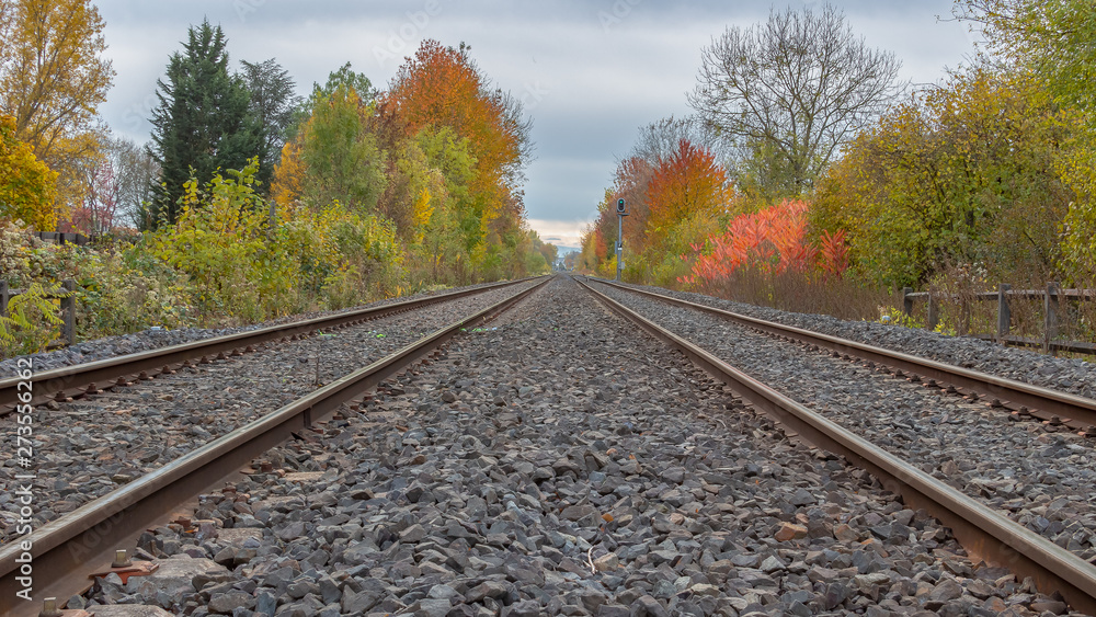 Fototapeta premium Railway tracks in fall