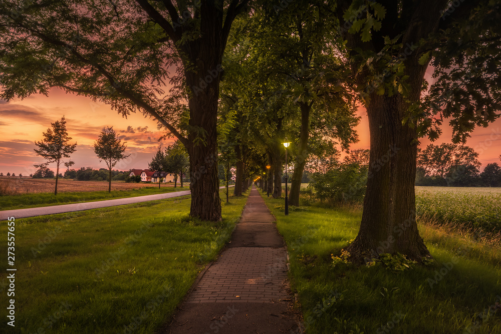 Fototapeta premium Sunset