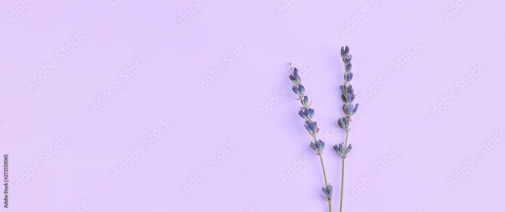 bouquet of violet lilac purple lavender flowers arranged on table background.  Top view, flat lay mock up, copy space. Minimal background concept. Dry flower  floral composition isolated. Spa skin care. Stock Photo |