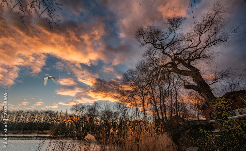 Obraz premium Sunset