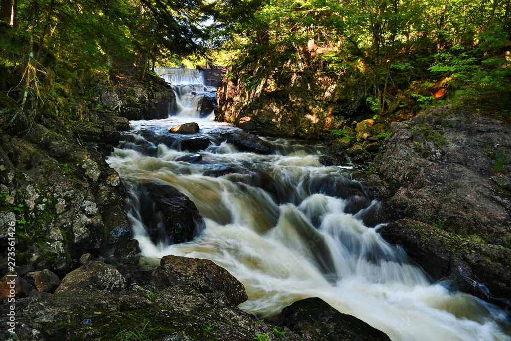 Obraz premium Lower Christine Falls