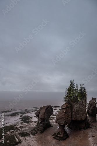 Top-down view of Hopewell Rocks in Canada during low tide