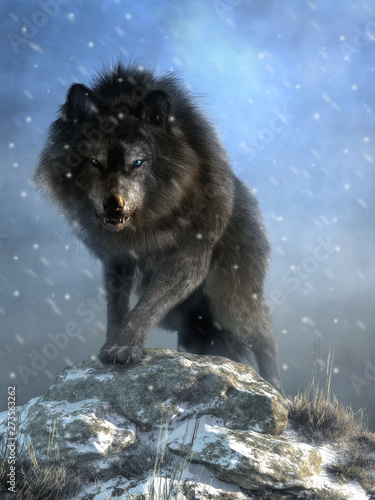 A large shaggy dire wolf bares its wicked teeth as it glares at you with deep blue eyes. The ice age predator growls and steps over snow covered rocks as it advances. 3D Rendering
