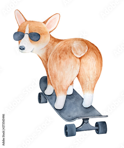 Ilustrace „Pembroke Welsh Corgi Pup character wearing eye glasses and  standing on skateboard. Hand drawn water color graphic drawing, cutout  element for sticker, t-shirt print, greeting card, poster, invitation.“ ze  služby Stock